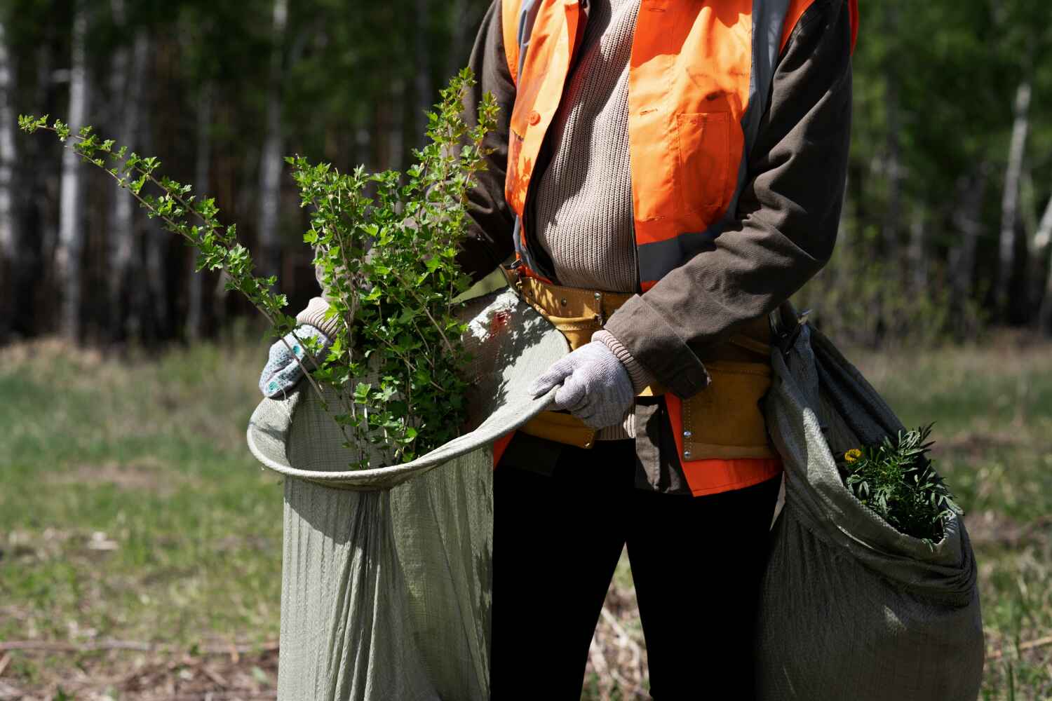 Trusted Yankton, SD Tree Service Experts